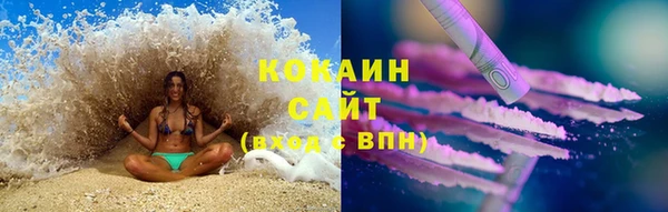 прущие грибы Аркадак