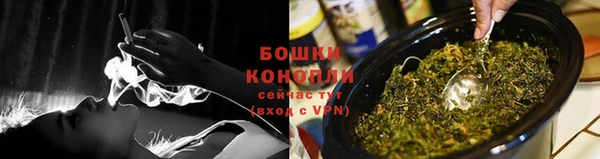 прущие грибы Аркадак