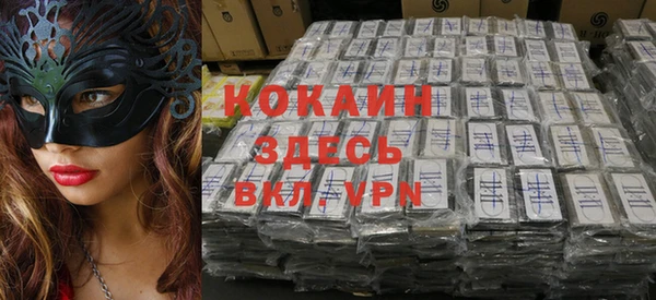 прущие грибы Аркадак