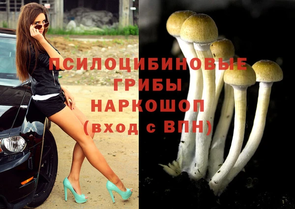 ПСИЛОЦИБИНОВЫЕ ГРИБЫ Арсеньев