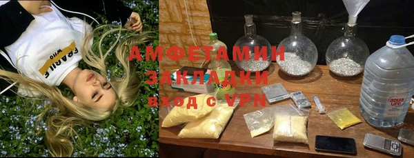 ПСИЛОЦИБИНОВЫЕ ГРИБЫ Арсеньев