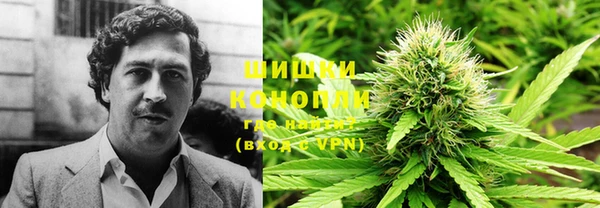 прущие грибы Аркадак
