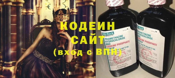 прущие грибы Аркадак