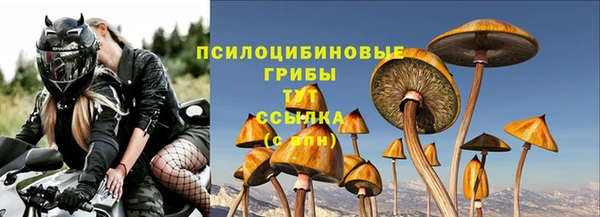 ПСИЛОЦИБИНОВЫЕ ГРИБЫ Арсеньев