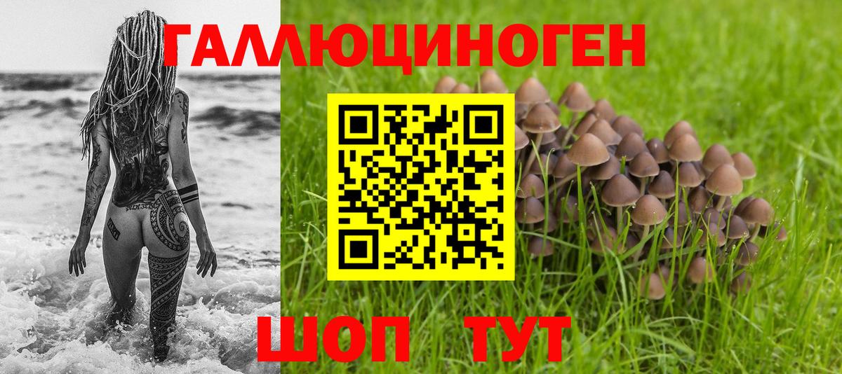 Псилоцибиновые грибы MAGIC MUSHROOMS  Вход с VPN  Качканар  Псилоцибиновые грибы мицелий 